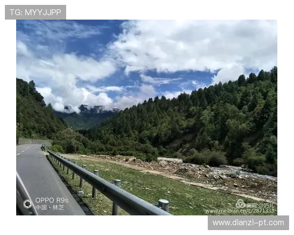 幸运彩票背后的故事：从小镇到亿万富翁的传奇